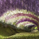 Illustration for article titled These Extraordinary Tunnels Look Like Gateways to Other Worlds